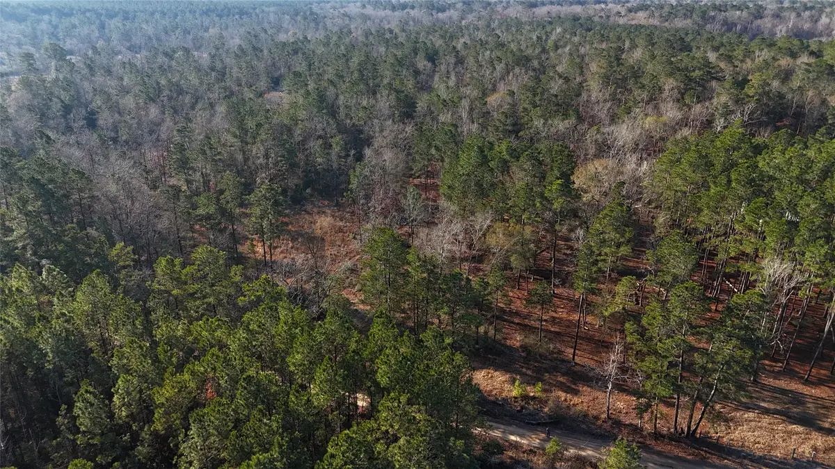 TBD Baskin Loop, Livingston, TX 77351 - Image #1