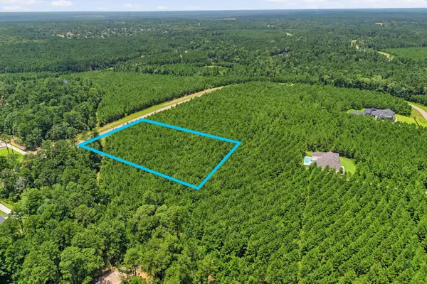 16222 Ridge Oak Road, Willis, TX 77378