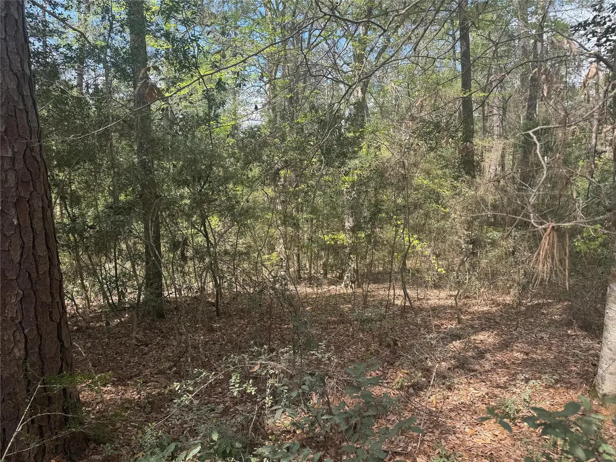 TBD Big Foot Wallace Trail, Livingston, TX 77351 - #1