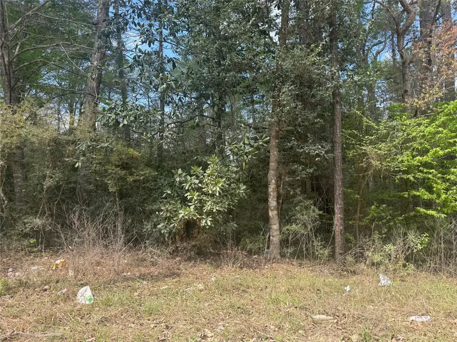 TBD Big Foot Wallace Trail, Livingston, TX 77351 - #2