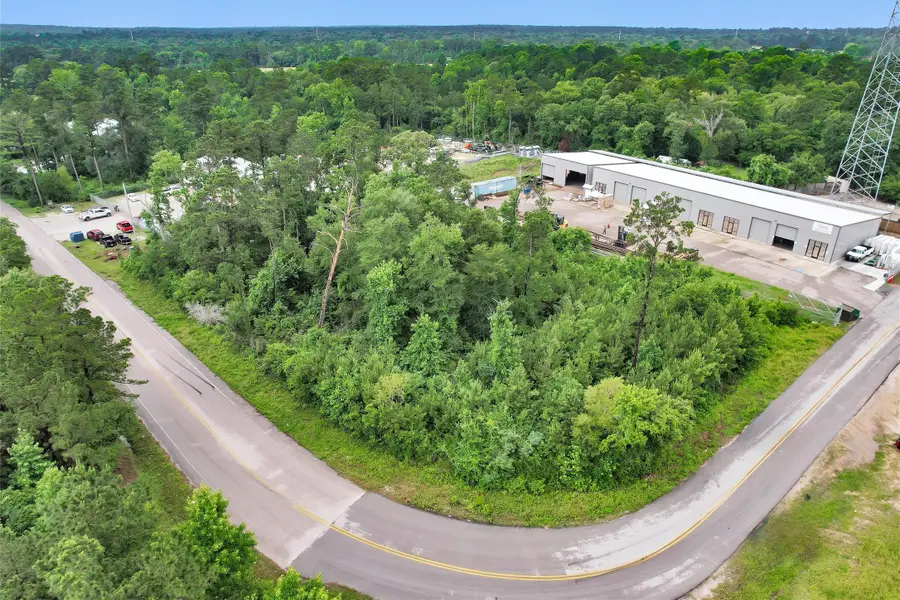 18417 Keenan Cut Off Road, Montgomery, TX 77316 - #2