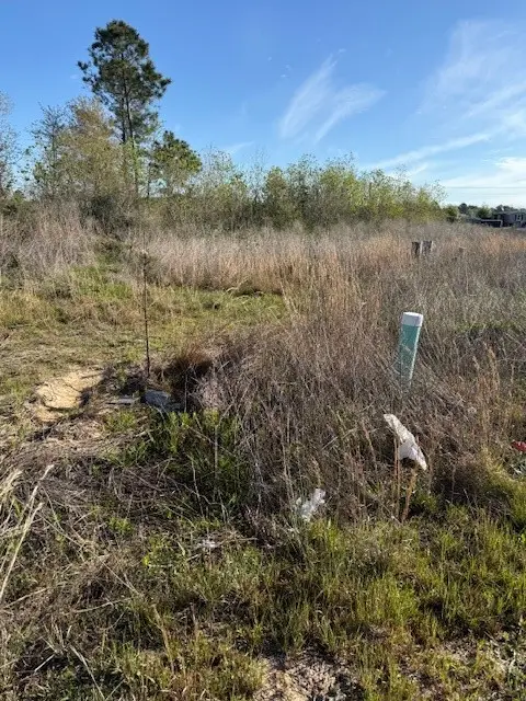 653 Road 5816, Cleveland, TX 77327 - #2