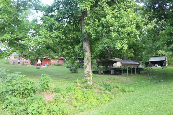 30 Moss Hill Lane, Point Blank, TX 77364