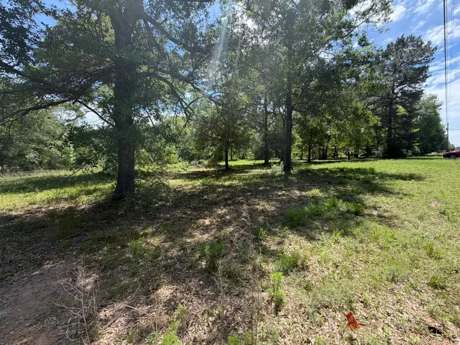 3871 Highline Oaks E, Conroe, TX 77306 - #2