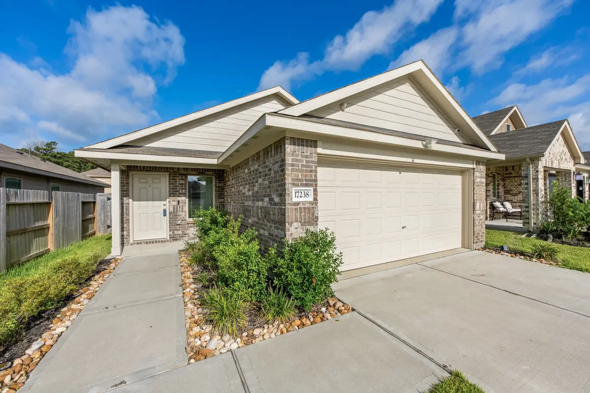 17238 Black Ash Court, New Caney, TX 77357 - #1