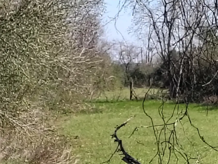 tbd Brumlow Road, Waller, TX 77484 - #3