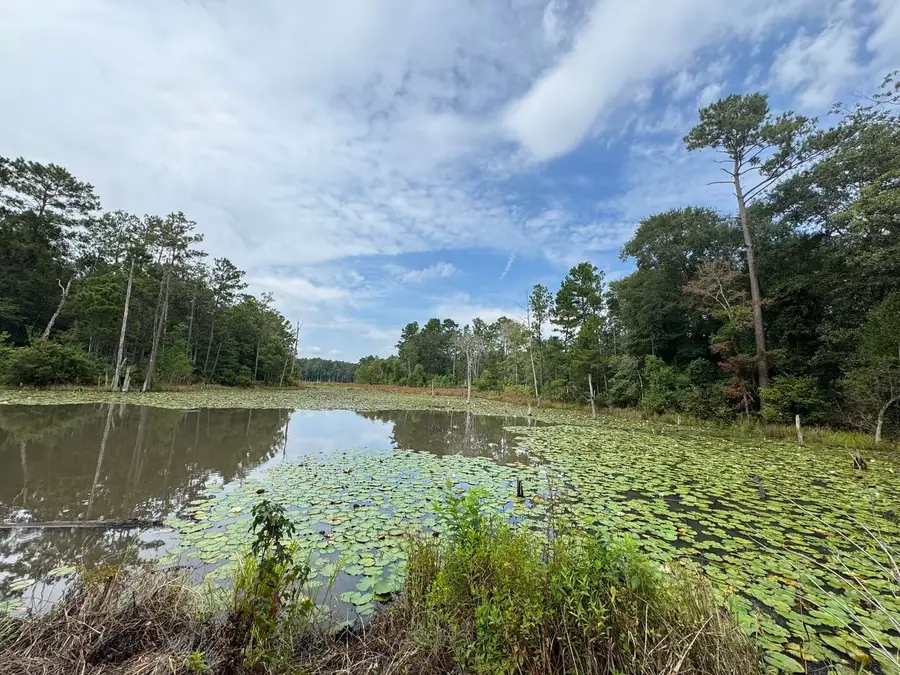 TBD Sandy Creek Road, Willis, TX 77378 - #2