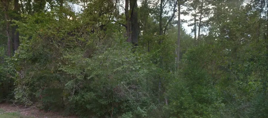 0 Idle Wild Road, New Caney, TX 77357 - #3