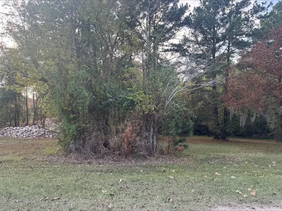 0 Silver Hickory Drive, Coldspring, TX 77331 - Image #2