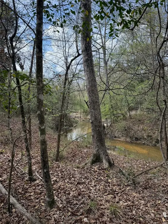 8635 Hwy 190 E, Bon Wier, TX 75928 - #1