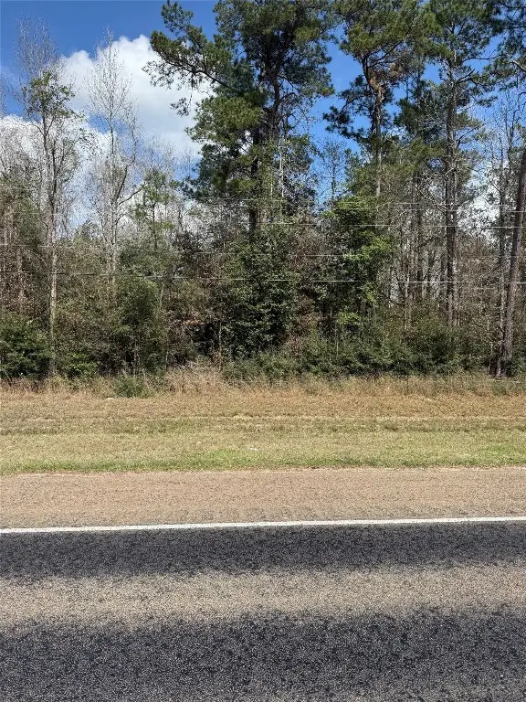 8635 Hwy 190 E, Bon Wier, TX 75928 - #2