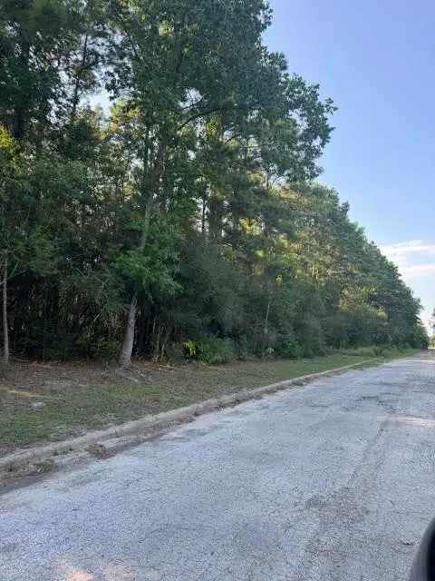 0 Indian Ocean Drive, Humble, TX 77346 - #2