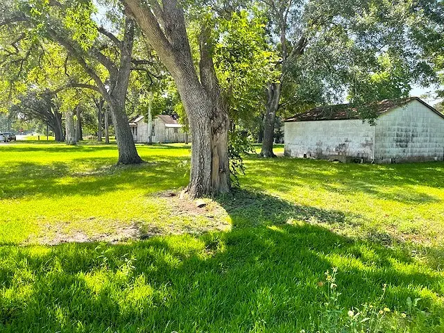 6211 Gresham Street, Wallis, TX 77485 - #3