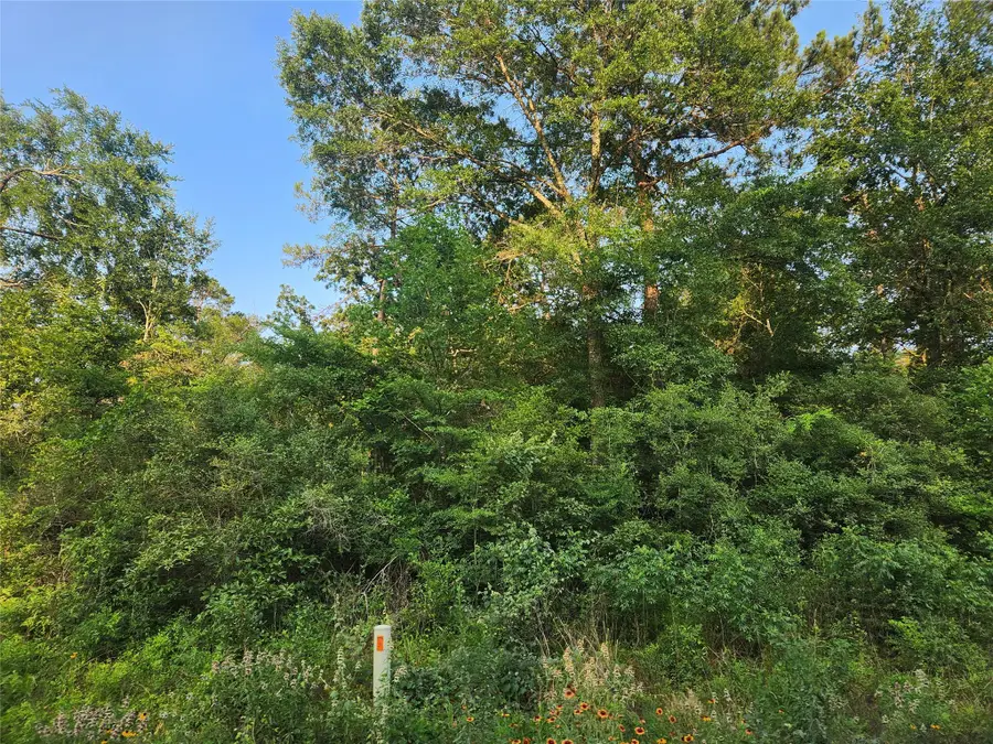 Lot 20 Mossyknoll Drive, Plantersville, TX 77363 - Image #3