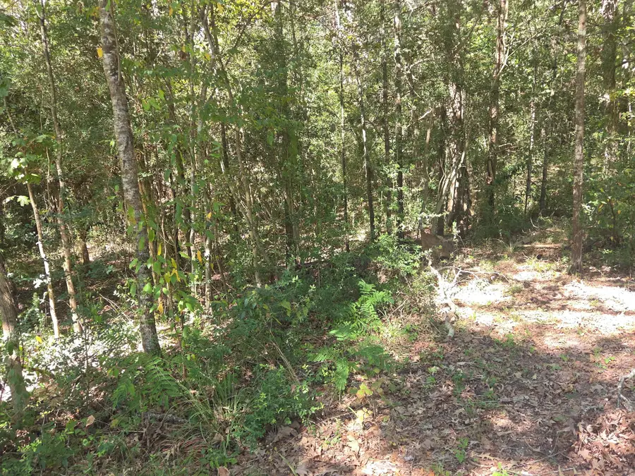 25 Road 2722, Cleveland, TX 77327 - #2
