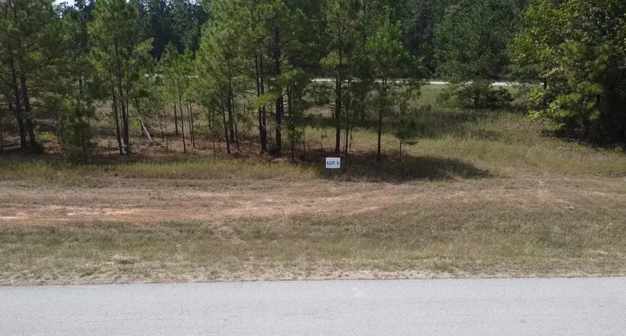 TBD Bambi Court, Cleveland, TX 77328 - #2