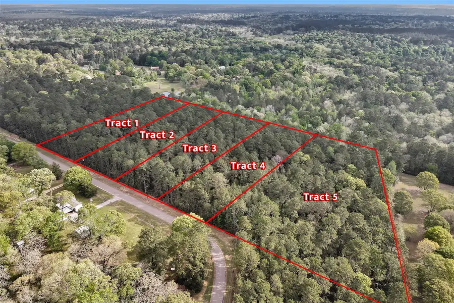 TBD TR4 Cedar Lane Loop, Willis, TX 77378 - #2