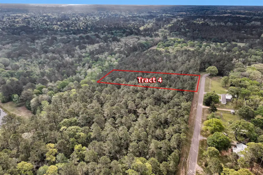 TBD TR4 Cedar Lane Loop, Willis, TX 77378 - #3