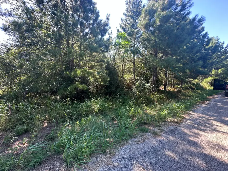 0 Alum Creek Road, Smithville, TX 78957 - #2