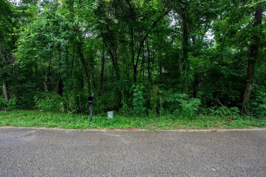 0000 Royal Springs Road, Conroe, TX 77303 - #3