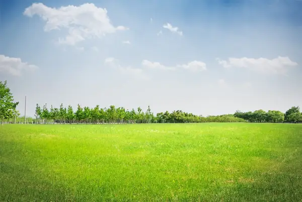 540 Road 5105, Cleveland, TX 77327