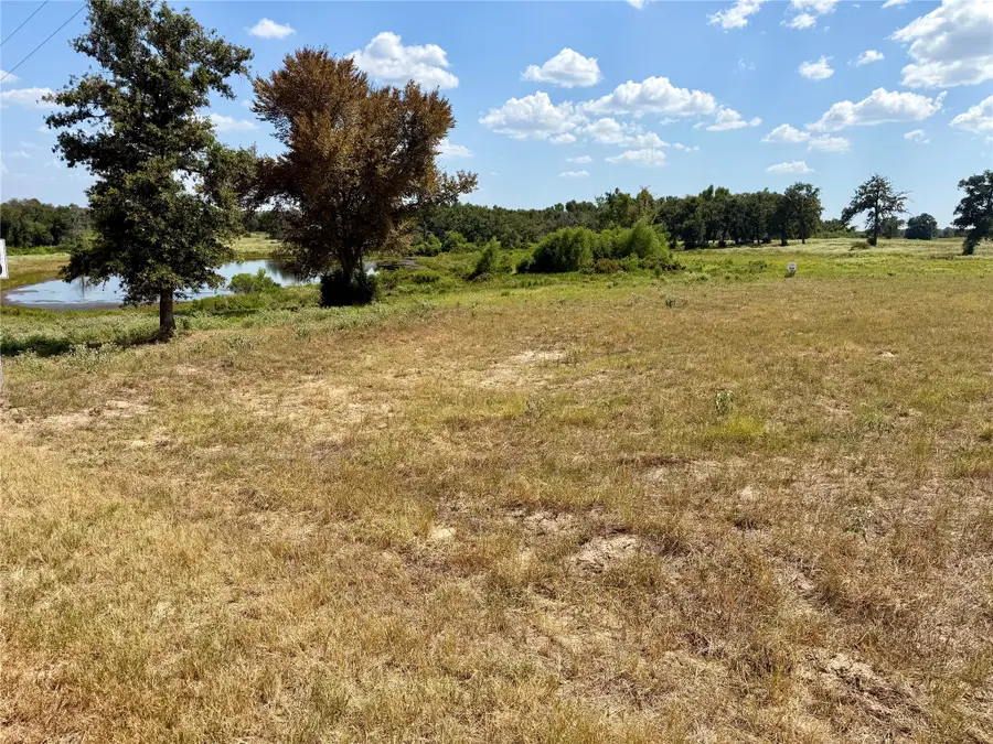 3803 Pr 4100 W, Marquez, TX 77865 - #3