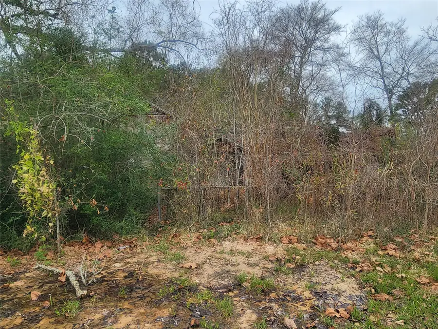 170 S Railroad Avenue, Shepherd, TX 77371 - Image #2