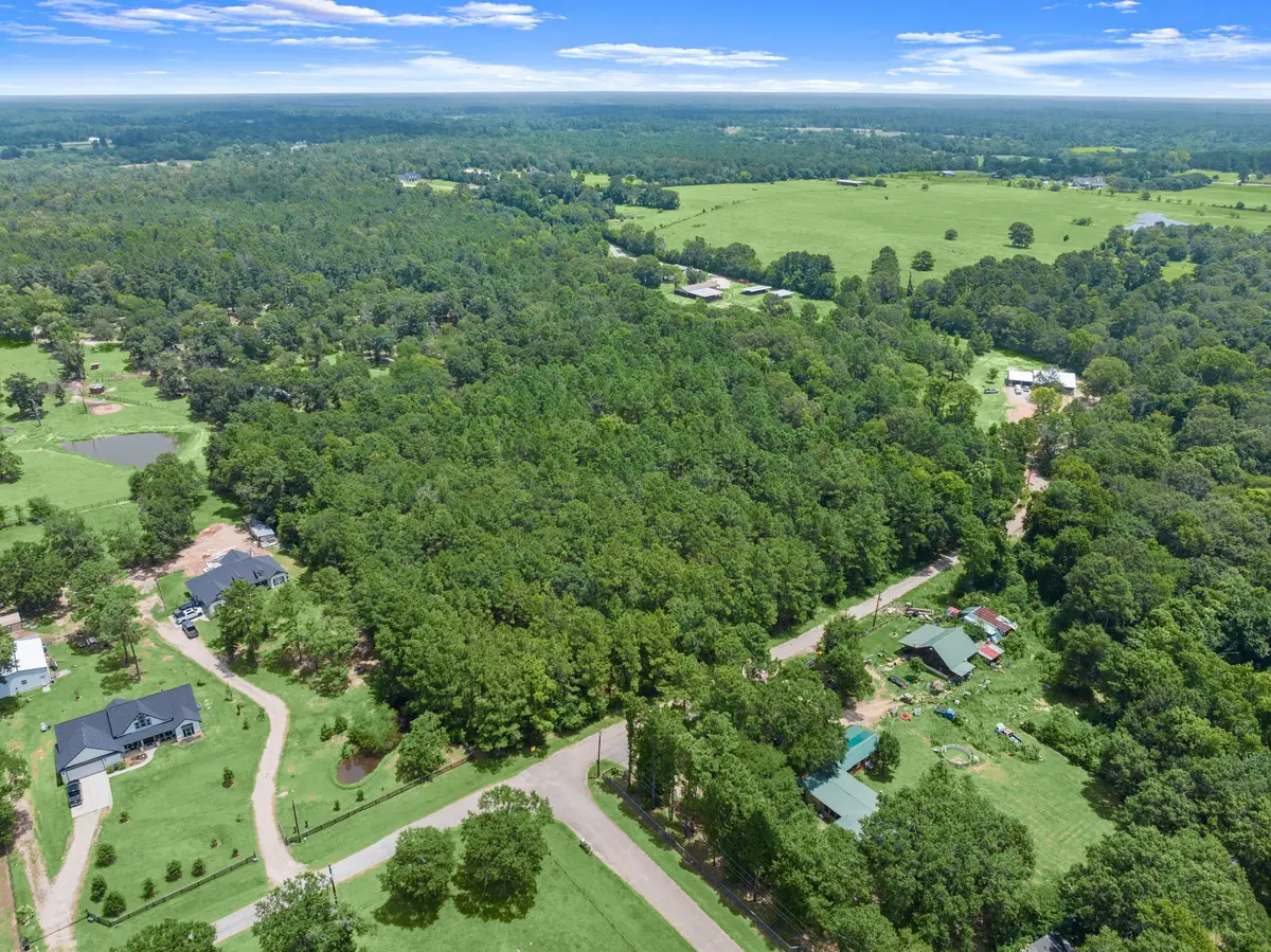 0 Wee Creek Lane, Montgomery, TX 77356 - #1