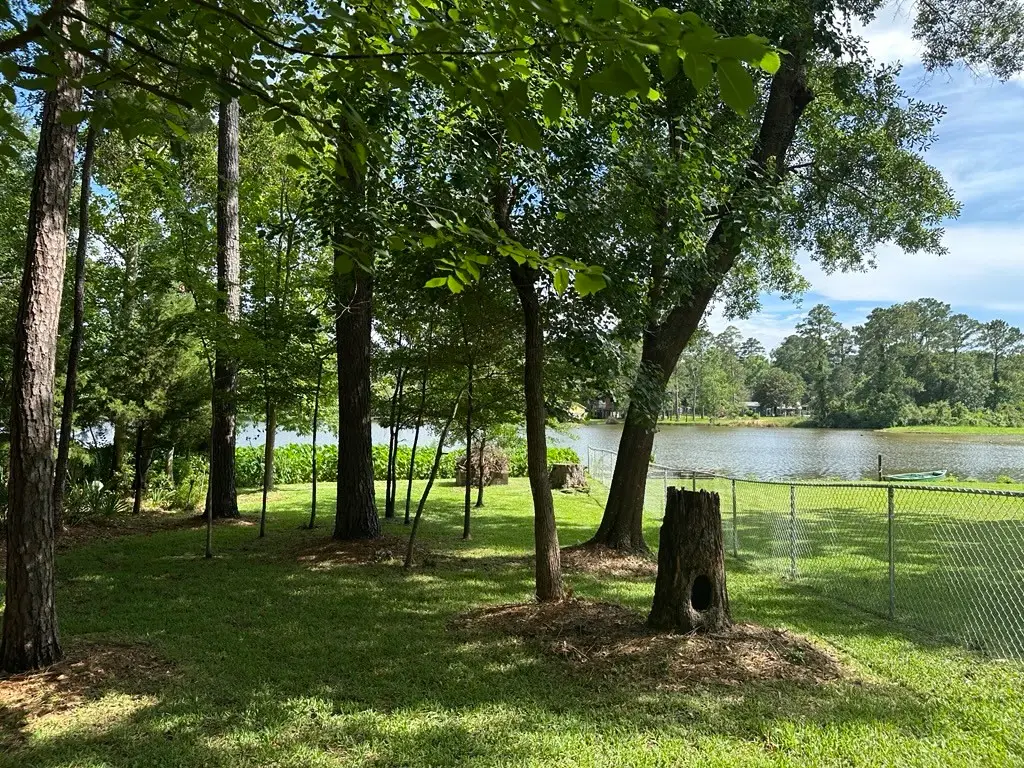 512 Navajo Street, Conroe, TX 77316 - #1