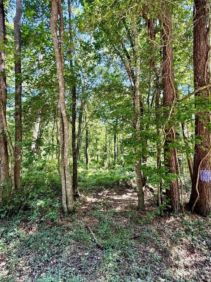 TBD Lot 2 Rolling Hills Drive, Southeast Montgomery, TX 77365 - #2
