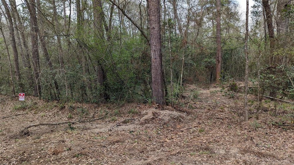 0 Crystal Lake Park Lot 33, Conroe, TX 77306 - ERA