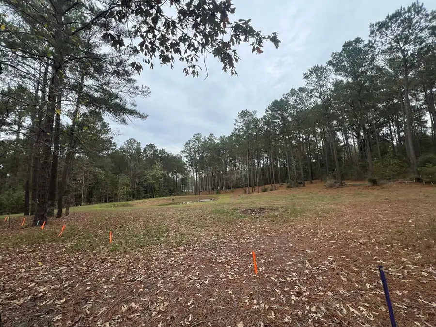 768 County Road 219, Brookeland, TX 75931 - Image #2