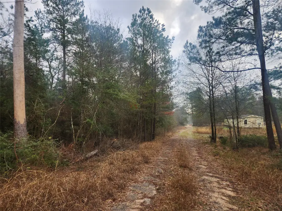 Lot 5 Tupelo Lane, Plantersville, TX 77363 - #2