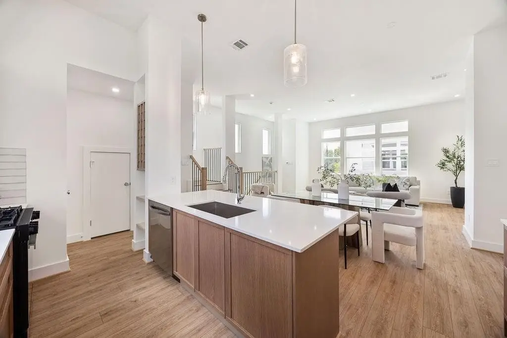 1713 Mary Street, Houston, TX 77026 - #1