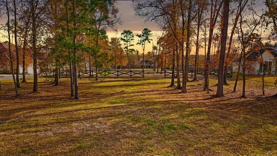 19474 Nasas Drive, Porter, TX 77365 - #3