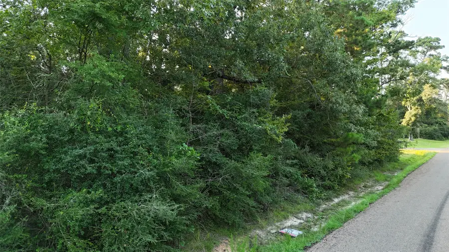 TBD Laurel, Onalaska, TX 77360 - #3