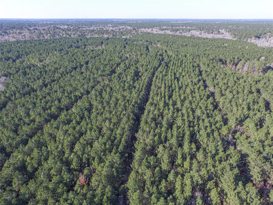 723 Mike Road, Livingston, TX 77351 - Image #3