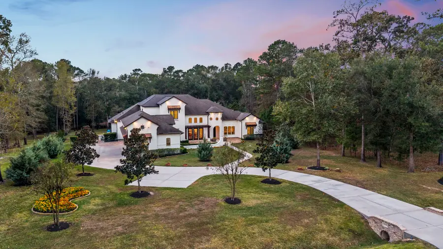 27374 Shady Hills Landing Lane, Spring, TX 77386 - Image #2