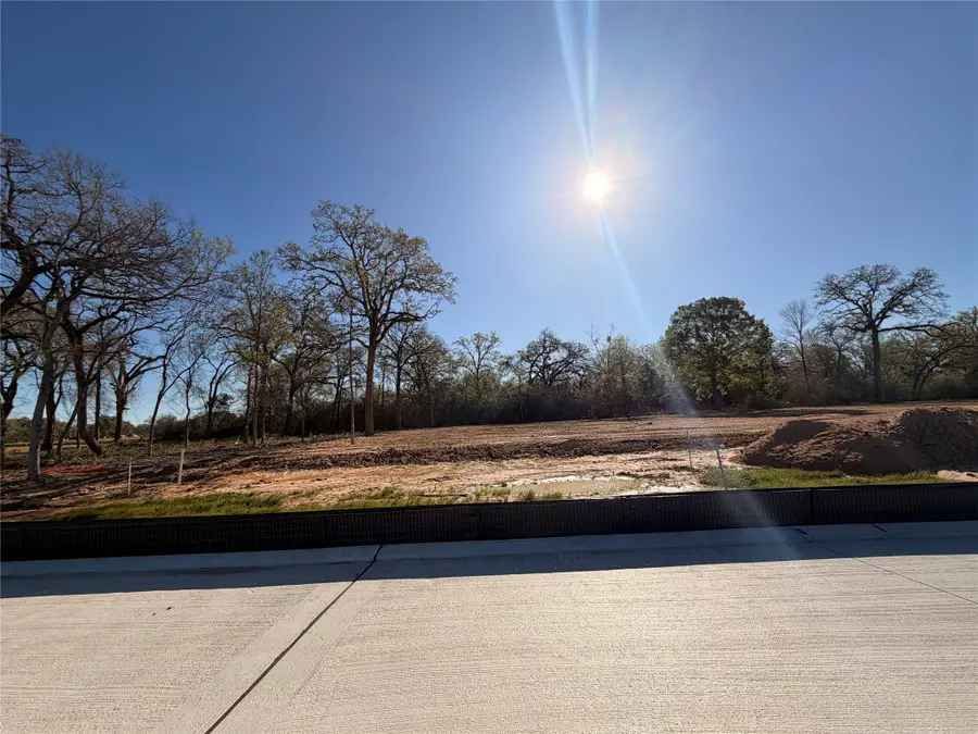 8519 Light Rail Drive, Fulshear, TX 77441 - #2