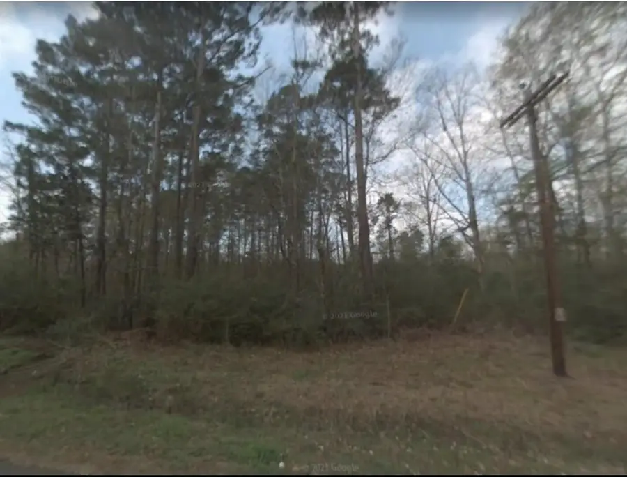 0 Chris Brent Drive, Livingston, TX 77351 - Image #2