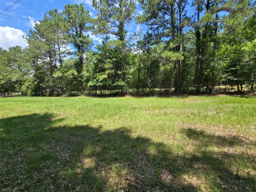 00 TBD Hwy 150 W, Coldspring, TX 77331 - #2