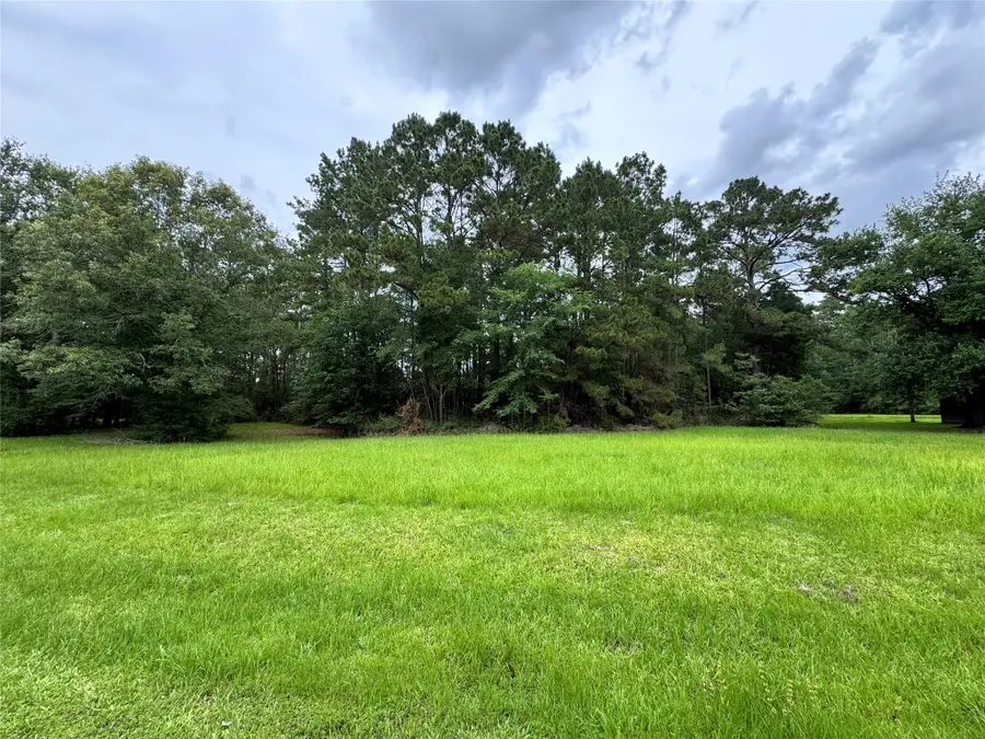 78 Rolling Springs, Trinity, TX 75862 - #3