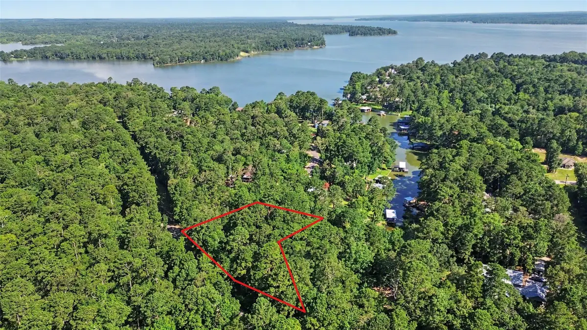 20 Lower Cove Drive, Point Blank, TX 77364 - #1