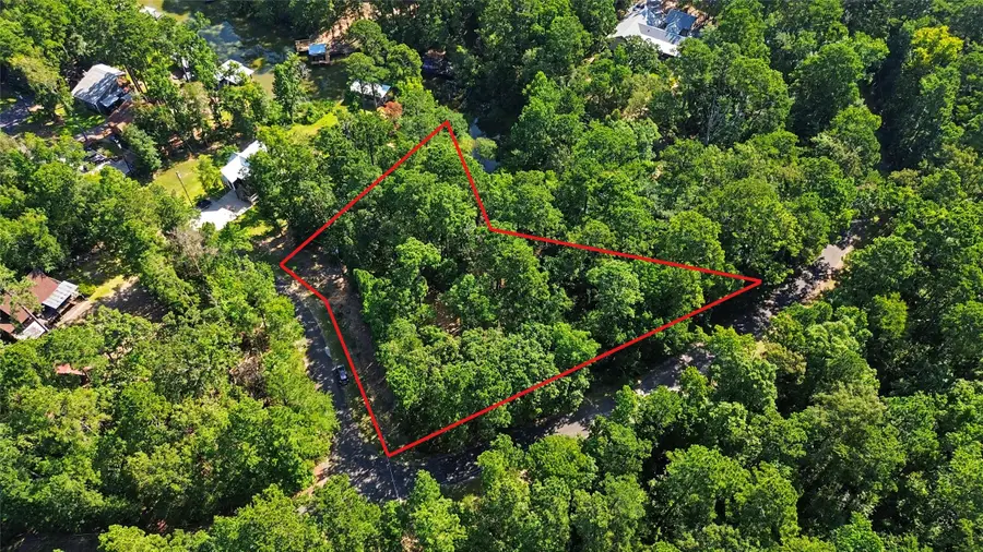 20 Lower Cove Drive, Point Blank, TX 77364 - #3
