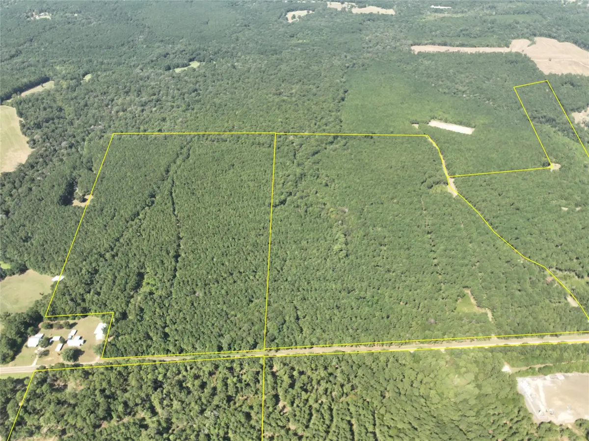T-6 Fm 256, Woodville, TX 75979 - #1