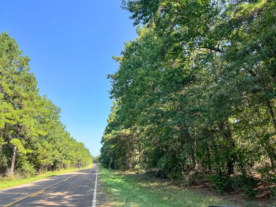 T-6 Fm 256, Woodville, TX 75979 - #3