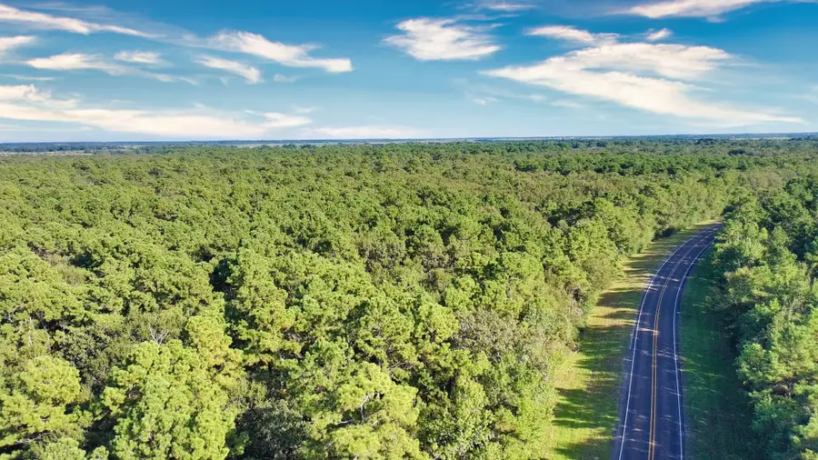 00 Tx-61, Anahuac, TX 77514 - #2