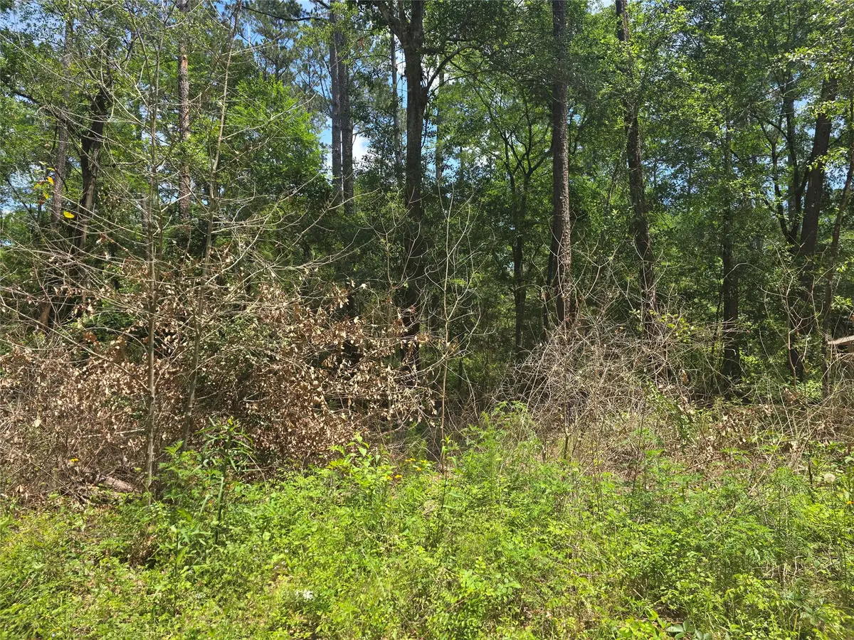 12949 Cedar Tree Court, Plantersville, TX 77363 - #1
