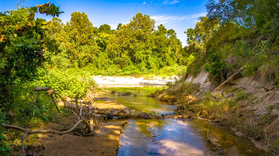 00 Garner Road, Goodrich, TX 77335 - Image #2