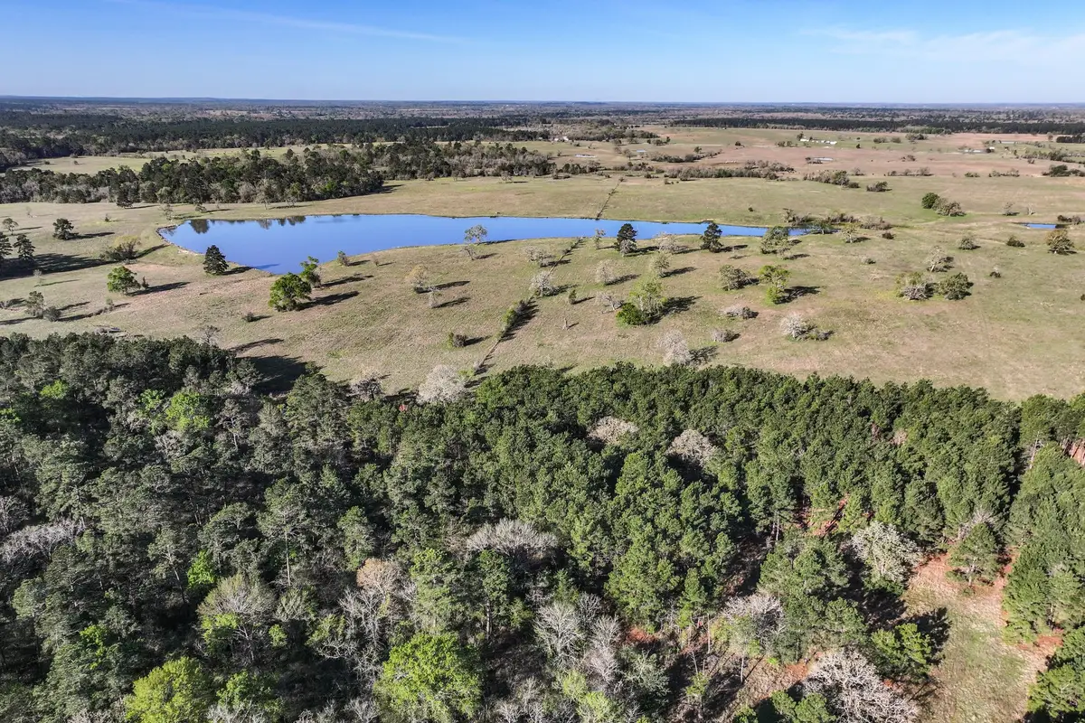784 Acres Round Prairie Road, Huntsville, TX 77320 - #1